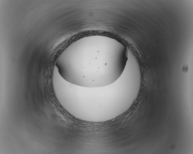 X0000113211064200910011314