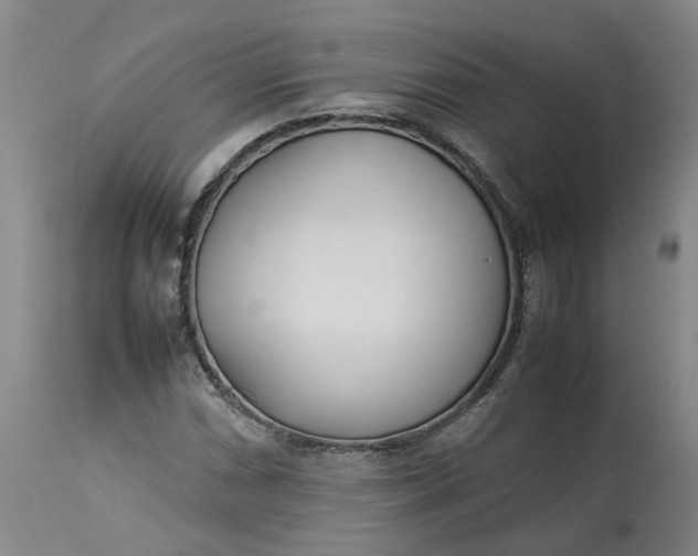 X0000113211066200910011314