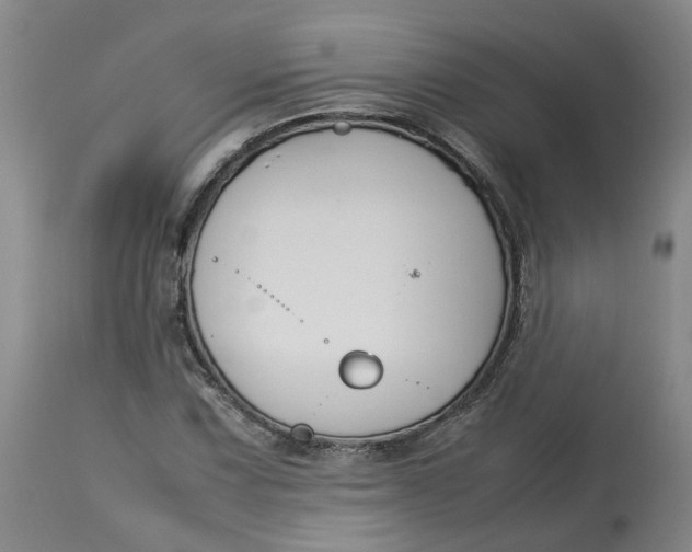 X0000113211067200910011314