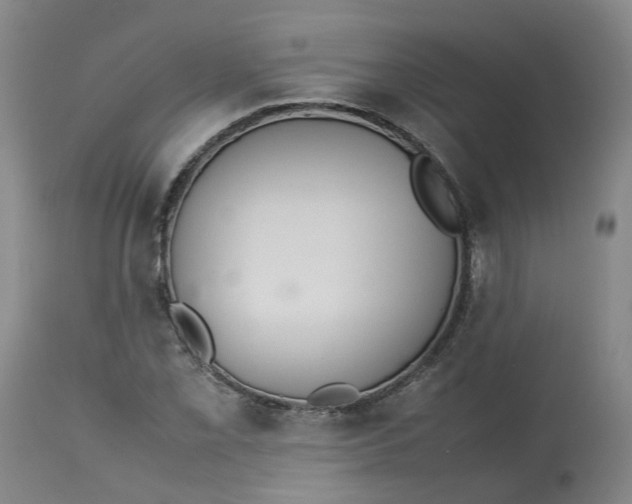 X0000113211069200910011314