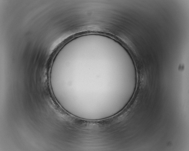 X0000113211070200910011314