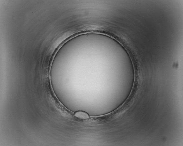 X0000113211073200910011314