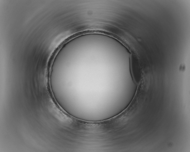 X0000113211076200910011314