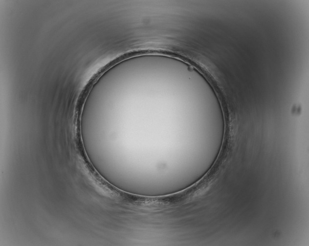 X0000113211077200910011314