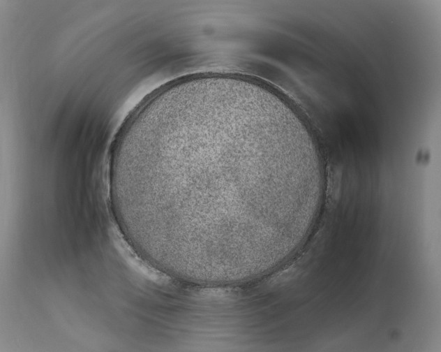 X0000113211078200910011314