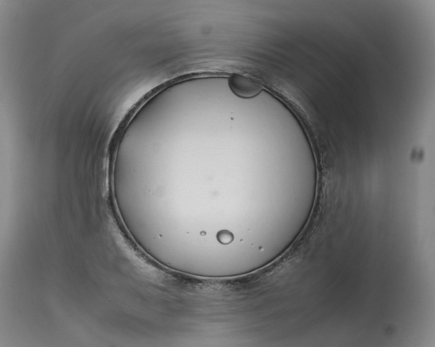 X0000113211079200910011314