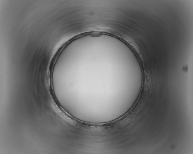 X0000113211080200910011314