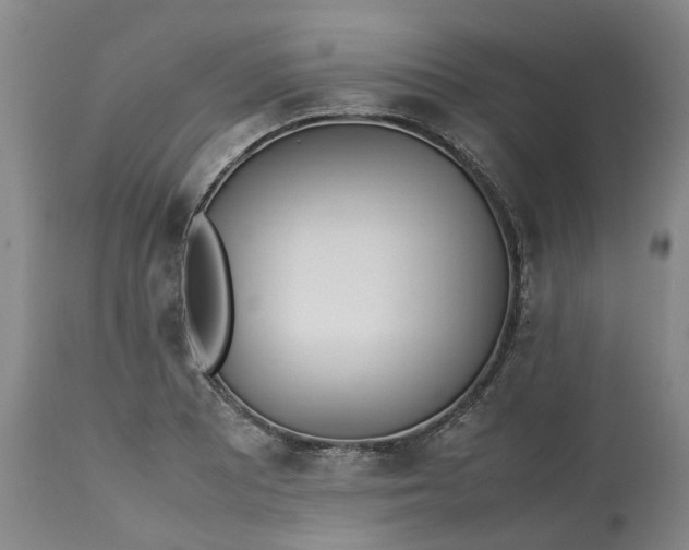 X0000113211081200910011314