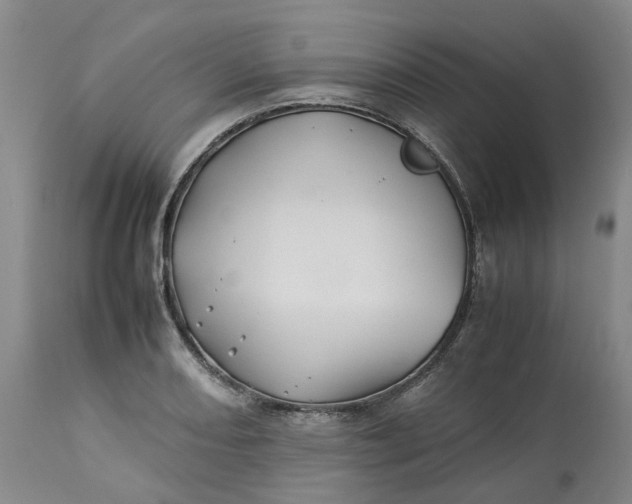 X0000113211082200910011314