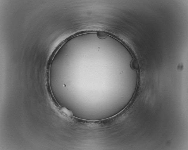 X0000113211085200910011314