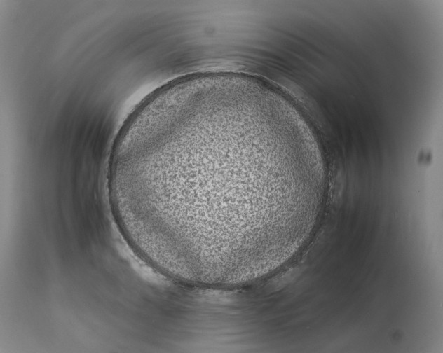 X0000113211086200910011314