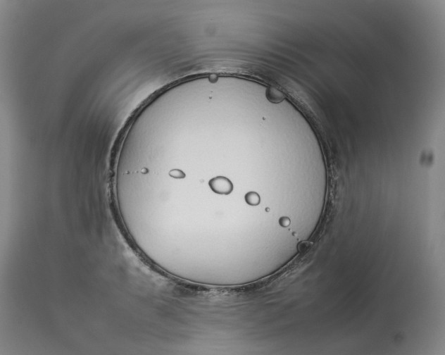 X0000113211087200910011314