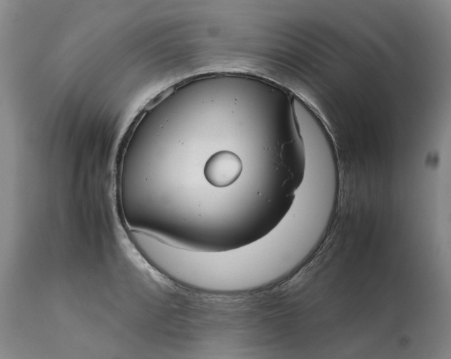 X0000113211088200910011314