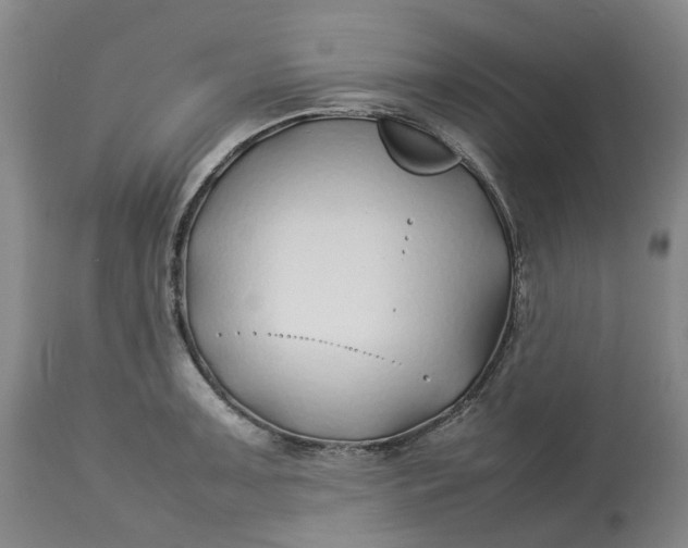 X0000113211091200910011314