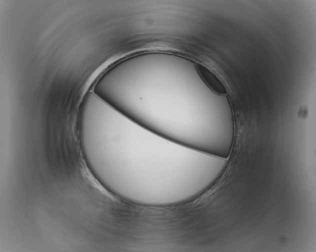 X0000113211092200910011314