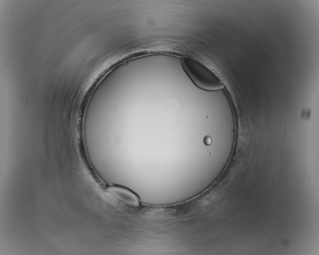 X0000113211093200910011314