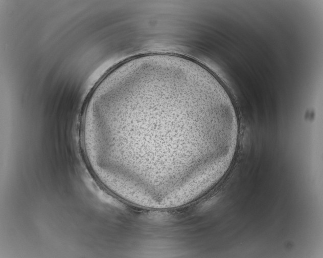 X0000113211094200910011314