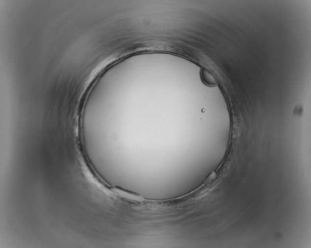 X0000113211095200910011314