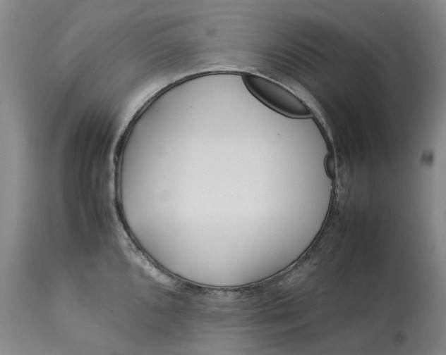 X0000113211096200910011314