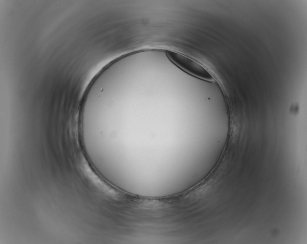 X0000113211100200910011314