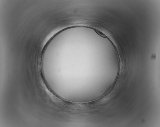 X0000113211101200910011314