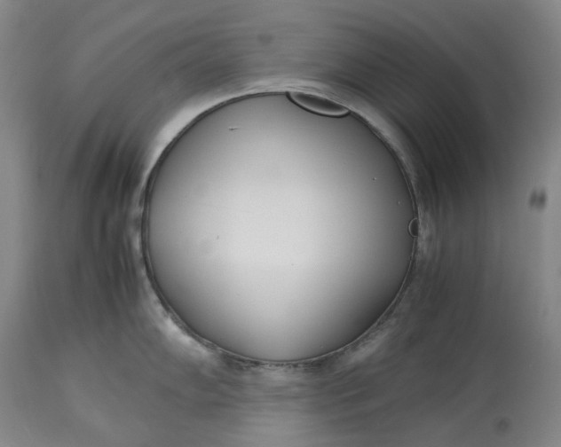 X0000113211102200910011314