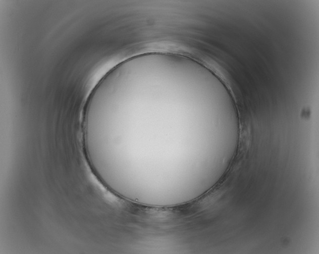 X0000113211103200910011314