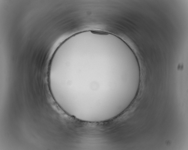 X0000113211104200910011314