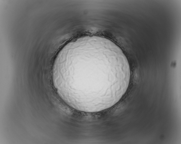 X0000113211105200910011313