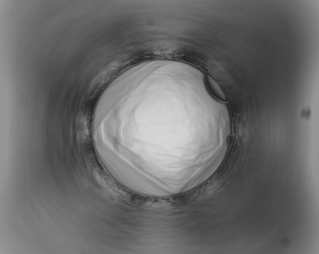 X0000113211106200910011313