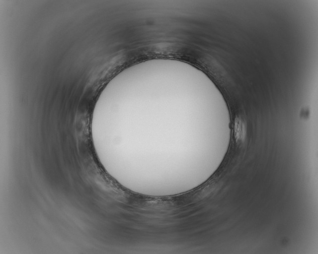 X0000113211107200910011313