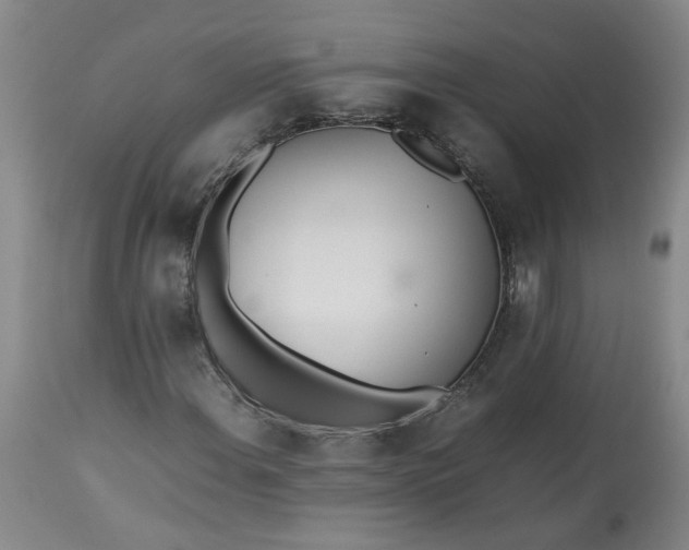 X0000113211108200910011313