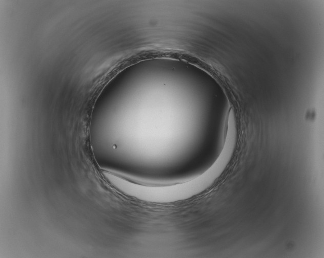 X0000113211110200910011313