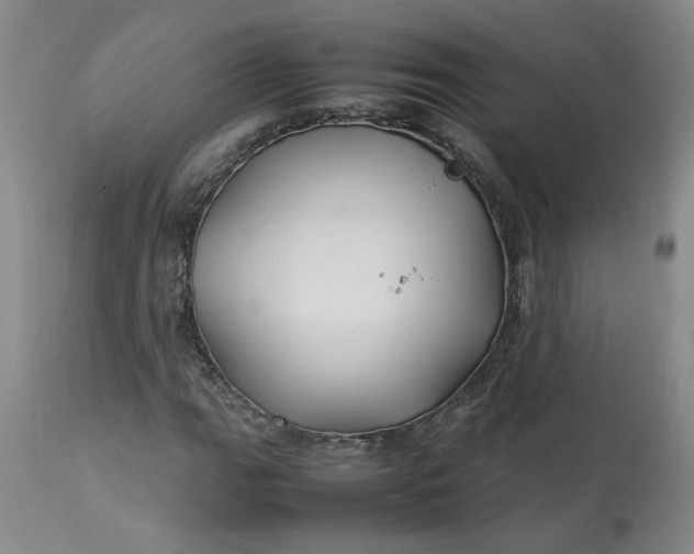 X0000113211111200910011313