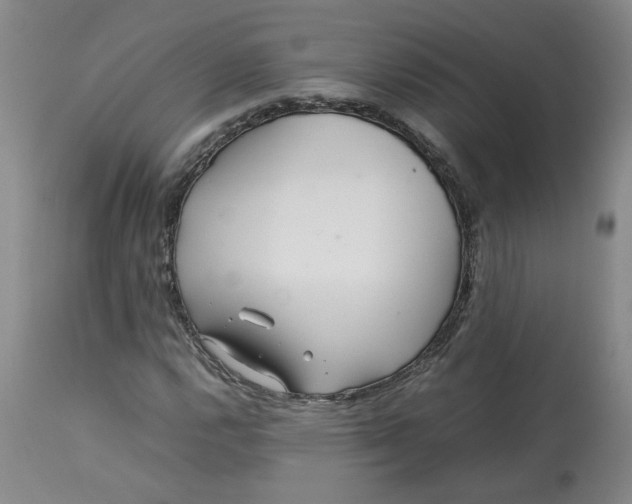 X0000113211112200910011313