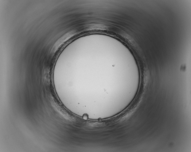 X0000113211113200910011313