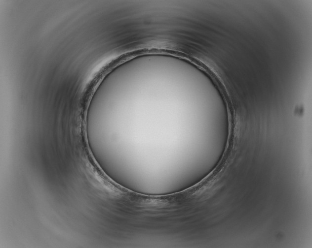 X0000113211115200910011313