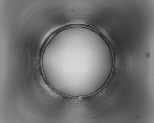 X0000113211116200910011313