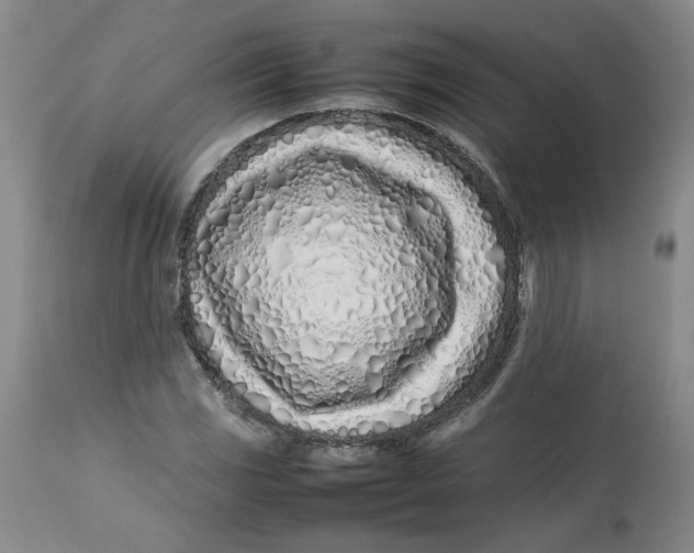 X0000113211117200910011313