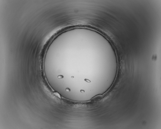 X0000113211118200910011313