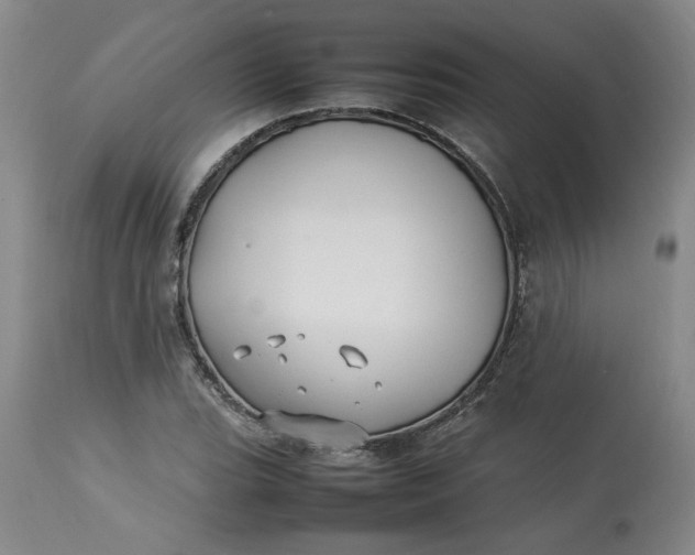 X0000113211119200910011313