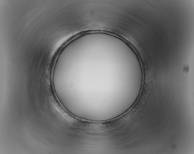 X0000113211120200910011313