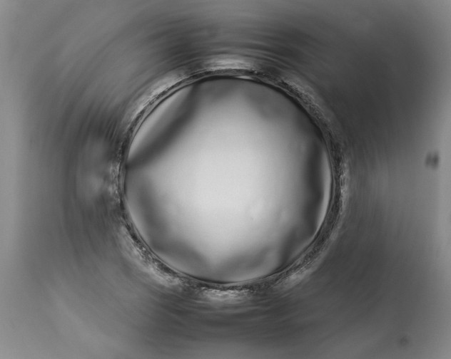 X0000113211121200910011313