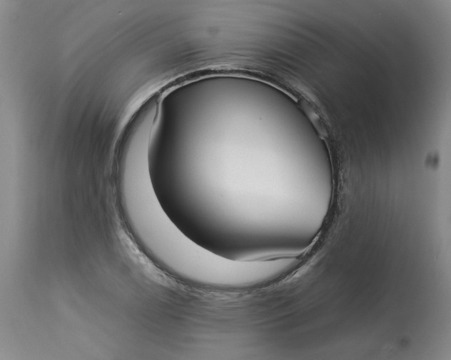 X0000113211122200910011314