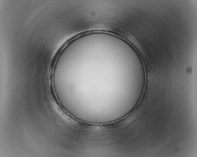 X0000113211124200910011314