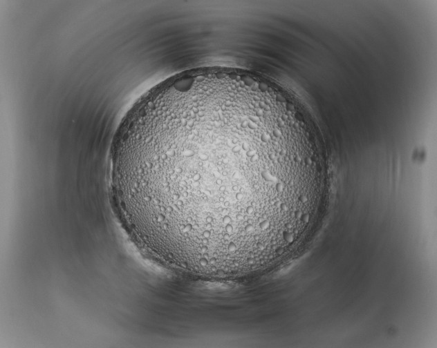 X0000113211125200910011314