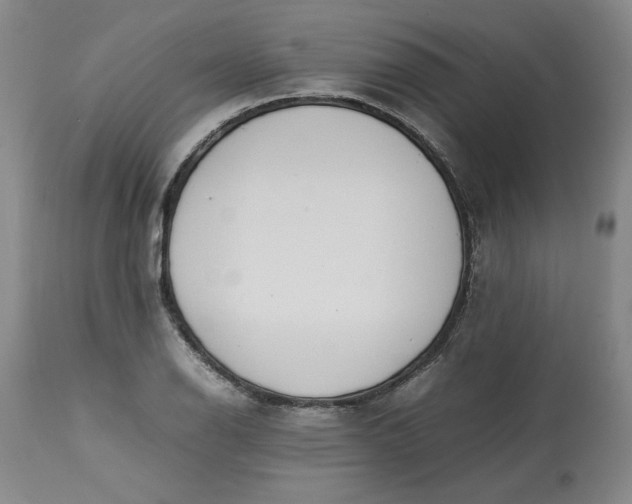 X0000113211126200910011314