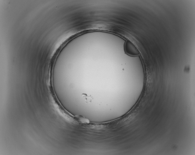 X0000113211131200910011314