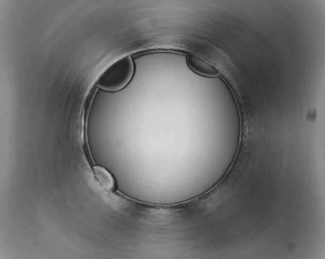 X0000113211132200910011314