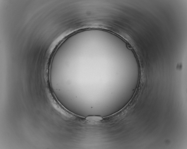 X0000113211136200910011314